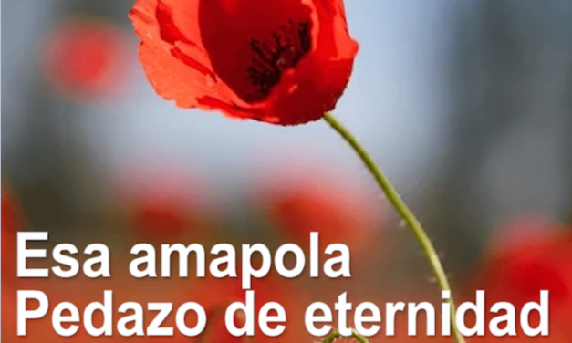 AMAPOLA