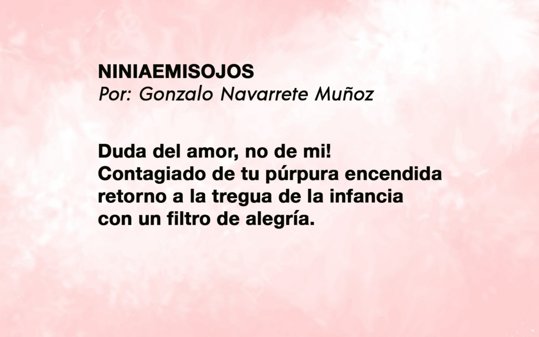NINIAEMISOJOS