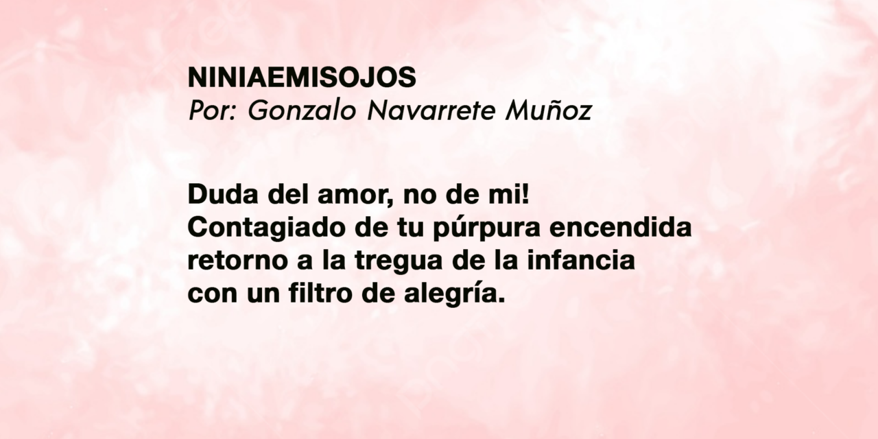 NINIAEMISOJOS