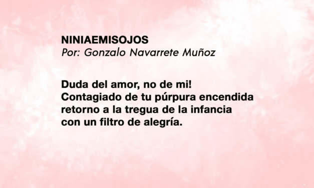 NINIAEMISOJOS