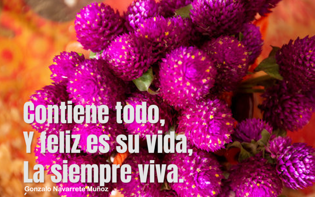 SIEMPRE VIVA