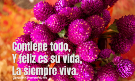 SIEMPRE VIVA