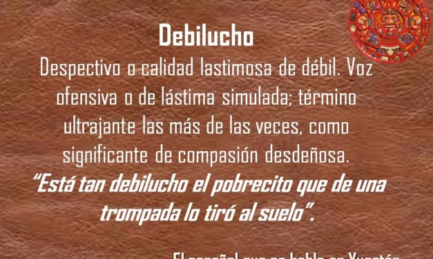 DEBILUCHO: «ESTA TAN DEBILUCHO EL PROBRECITO QUE DE UNA TROMPADA LO TIRO AL SUELO»