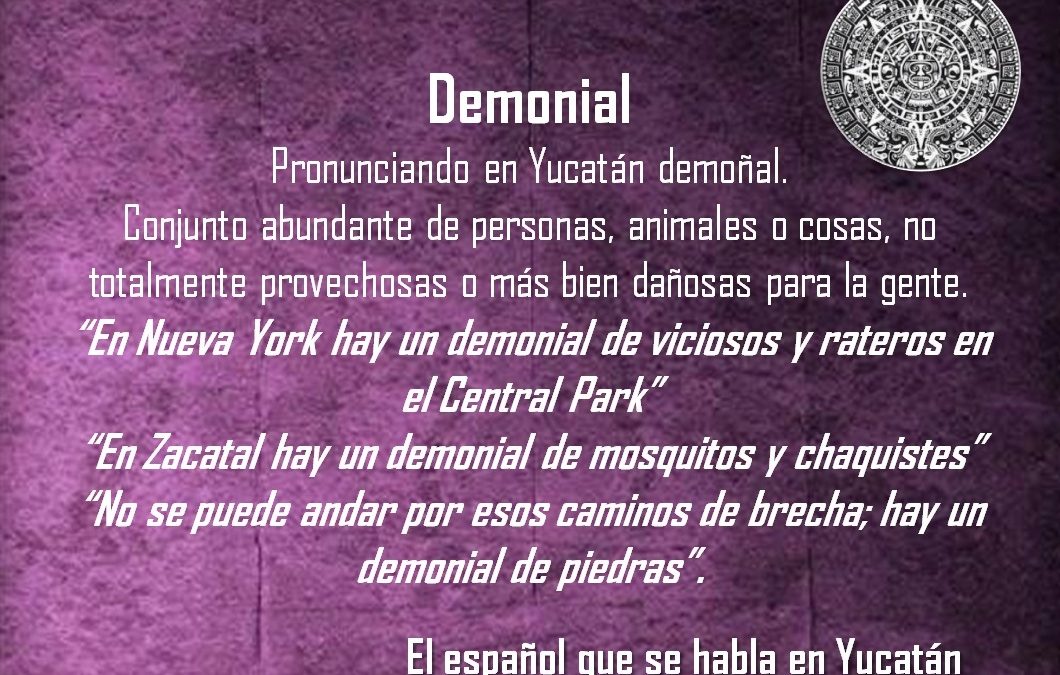 DEMONIAL: «EN ZACATAL HAY UN DEMONIAL DE MOSQUITOS Y CHAQUISTES”