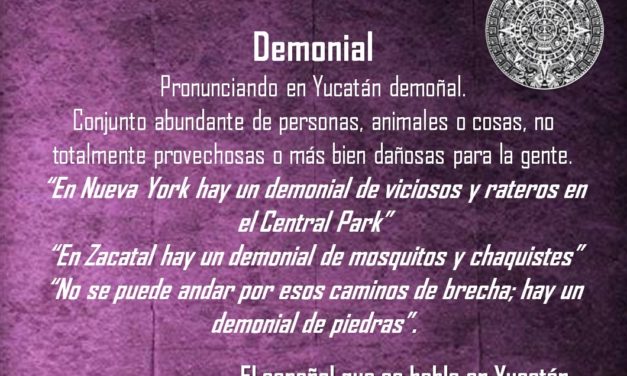 DEMONIAL: «EN ZACATAL HAY UN DEMONIAL DE MOSQUITOS Y CHAQUISTES”