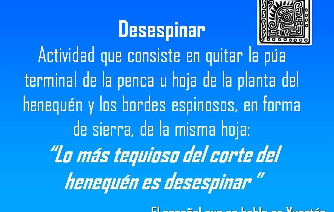 DESESPINAR: “LO MÁS TEQUIOSO DEL CORTE DEL HENEQUÉN ES DESESPINAR ”