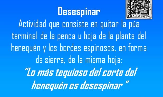 DESESPINAR: “LO MÁS TEQUIOSO DEL CORTE DEL HENEQUÉN ES DESESPINAR ”