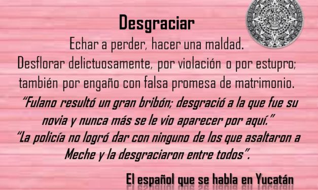 DESGRACIAR: «LA POLICÍA NO LOGRÓ DAR CON NINGUNO DE LOS QUE ASALTARON A MECHE Y LA DESGRACIARON ENTRE TODOS”.