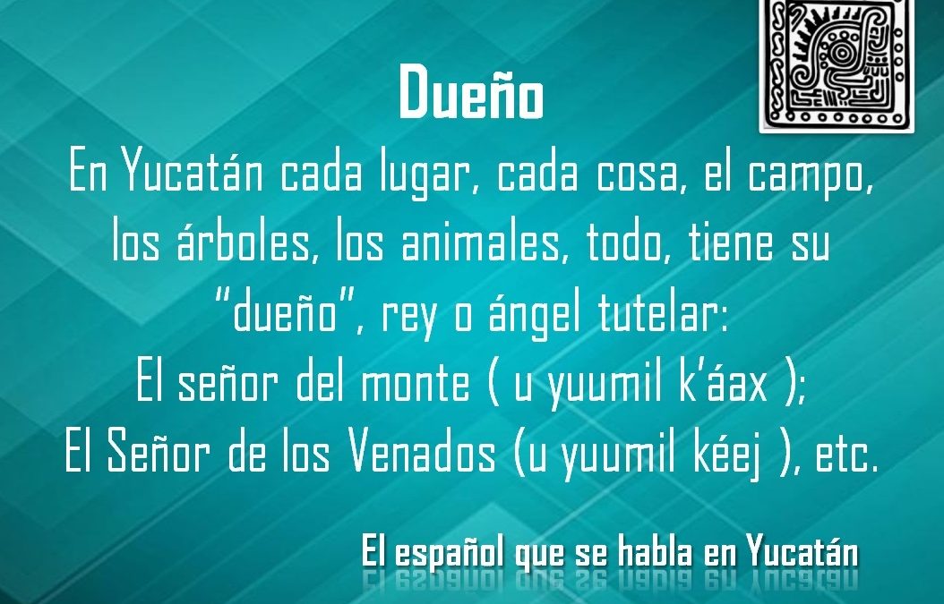 DUEÑO