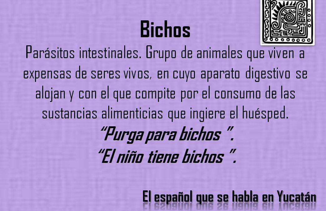 BICHOS: «EL NIÑO TIENE BICHOS»