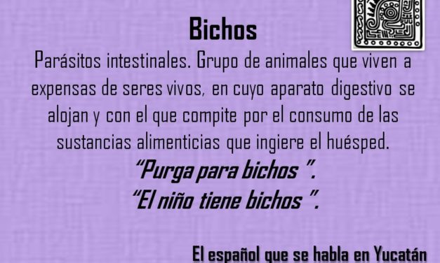 BICHOS: «EL NIÑO TIENE BICHOS»