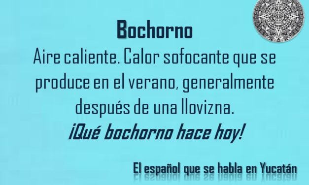 BOCHORNO: «¡QUÉ BOCHORNO HACE HOY!»