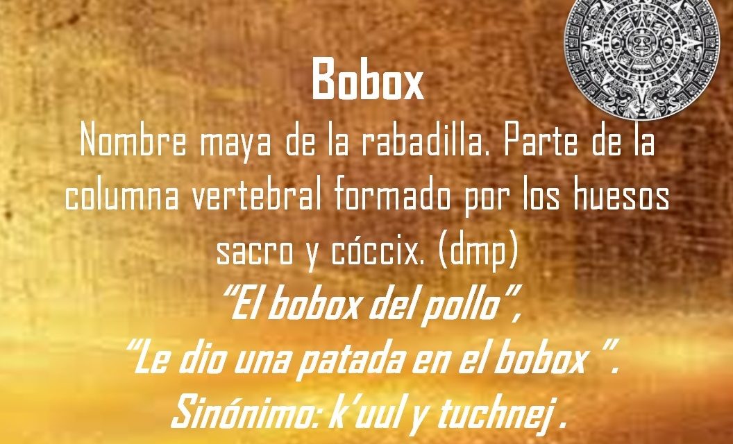 BOBOX