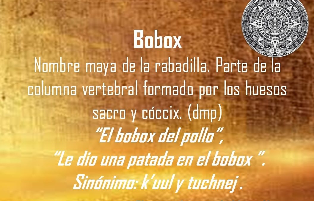BOBOX