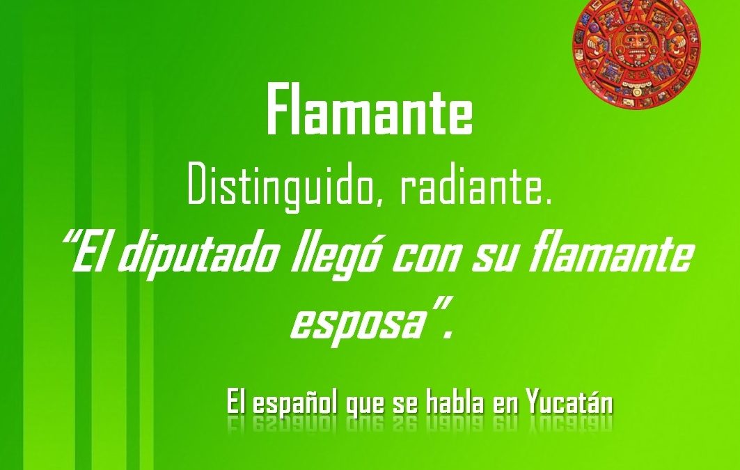 FLAMANTE: «EL DIPUTADO LLEGÓ CON SU FLAMANTE ESPOSA»