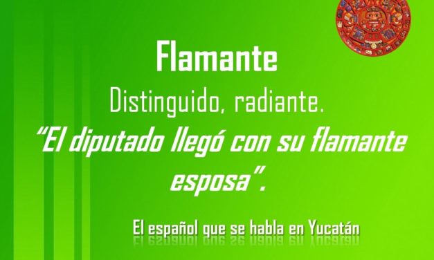 FLAMANTE: «EL DIPUTADO LLEGÓ CON SU FLAMANTE ESPOSA»