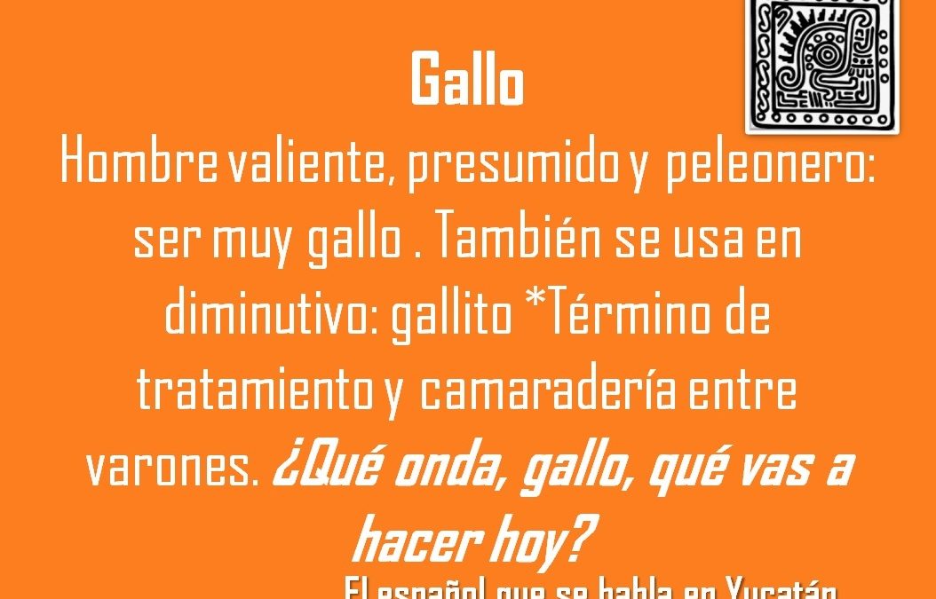 GALLO: ¿QUÉ ONDA, GALLO, QUÉ VAS A HACER HOY?