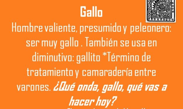 GALLO: ¿QUÉ ONDA, GALLO, QUÉ VAS A HACER HOY?