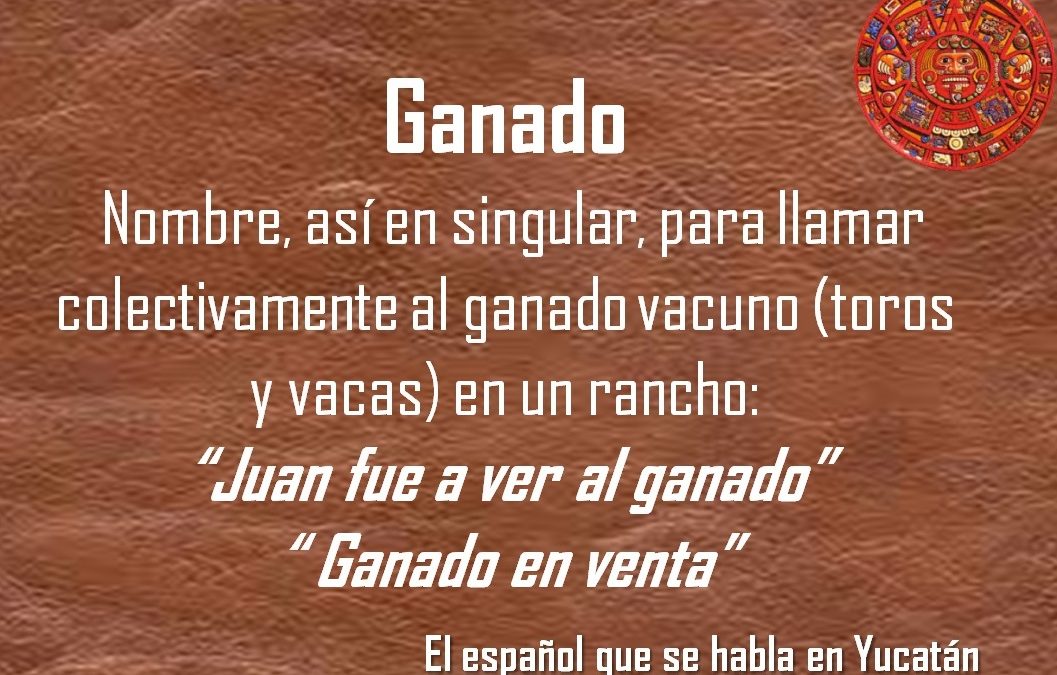 GANADO: «JUAN FUE A VER AL GANADO»