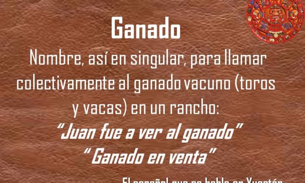 GANADO: «JUAN FUE A VER AL GANADO»