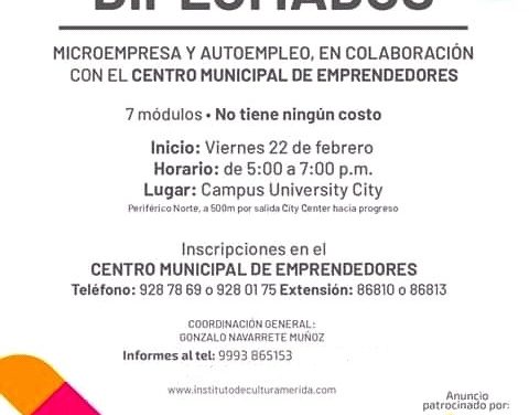 DIPLOMADO. MICROEMPRESAS Y AUTOEMPLEO