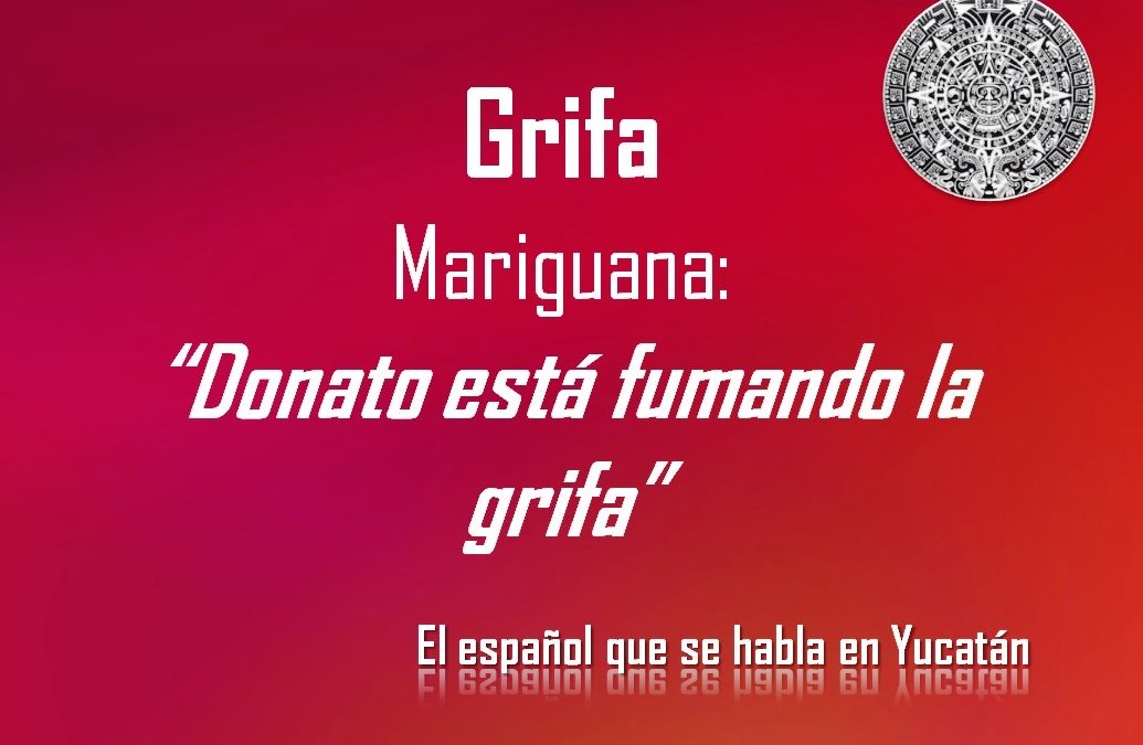 GRIFA: «DONATO ESTÁ FUMANDO LA GRIFA»
