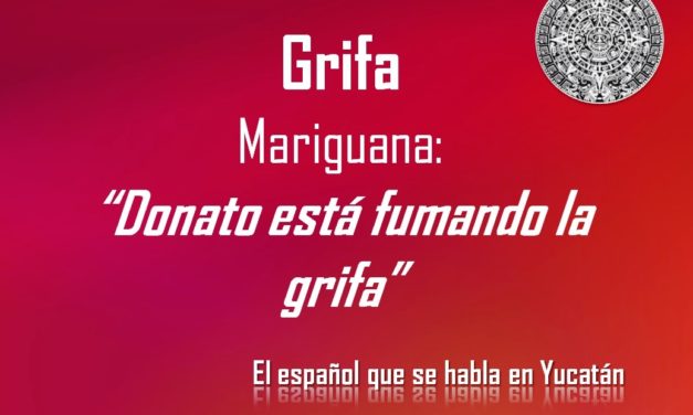 GRIFA: «DONATO ESTÁ FUMANDO LA GRIFA»