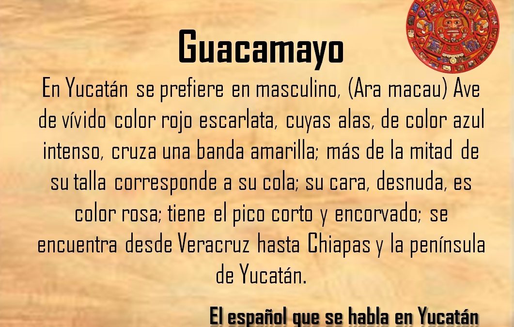 GUACAMAYO: AVE DE VÍVIDO COLOR ROJO ESCARLATA