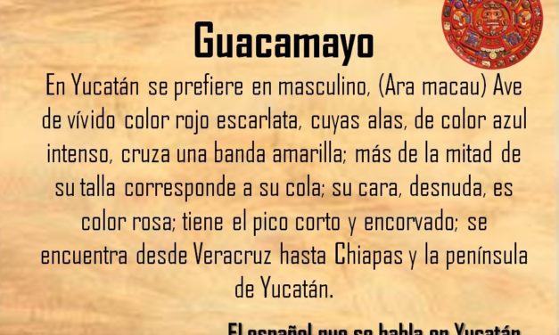 GUACAMAYO: AVE DE VÍVIDO COLOR ROJO ESCARLATA