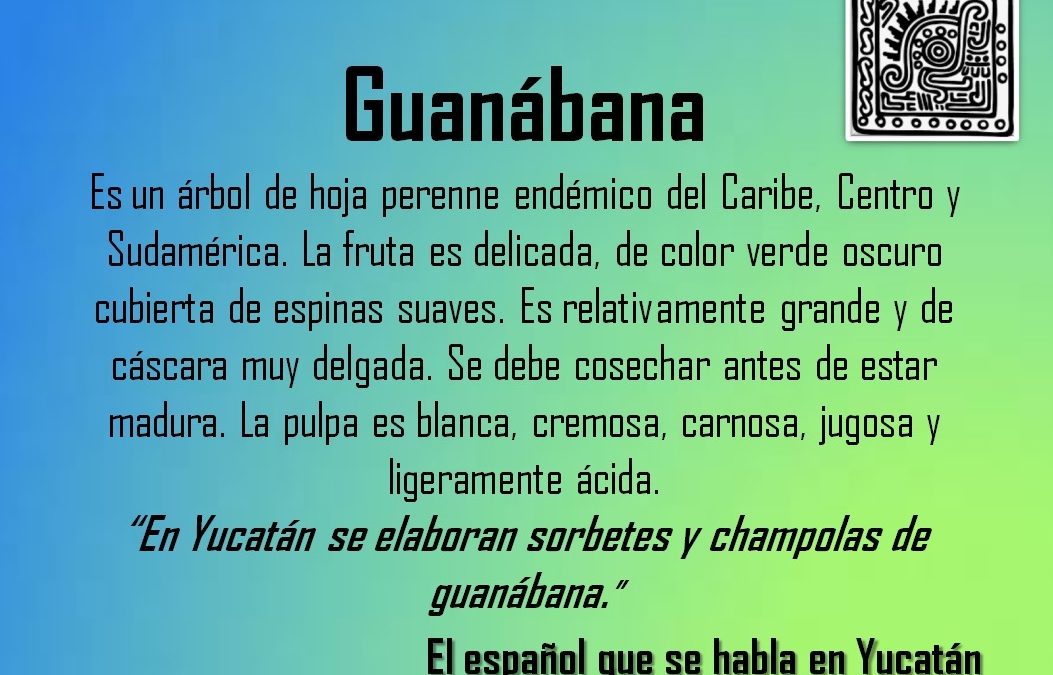 GUANÁBANA: «EN YUCATÁN SE ELABORAN SORBETES Y CHAMPOLAS DE GUANÁBANA”