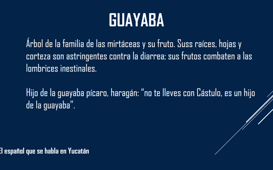 GUAYABA: «NO TE LLEVES CON CASTULO, ES UN HIJO DE LA GUAYABA»