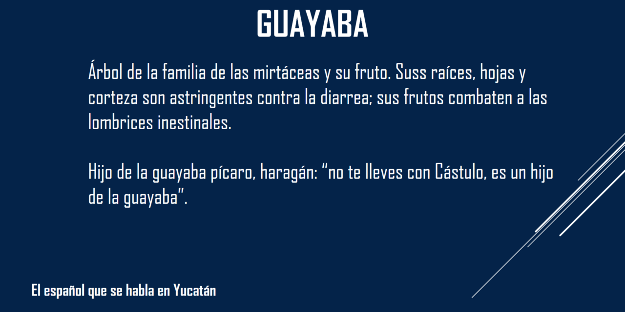 GUAYABA: «NO TE LLEVES CON CASTULO, ES UN HIJO DE LA GUAYABA»