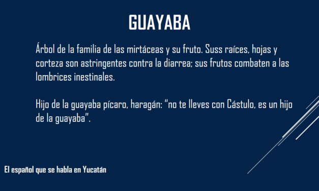 GUAYABA: «NO TE LLEVES CON CASTULO, ES UN HIJO DE LA GUAYABA»