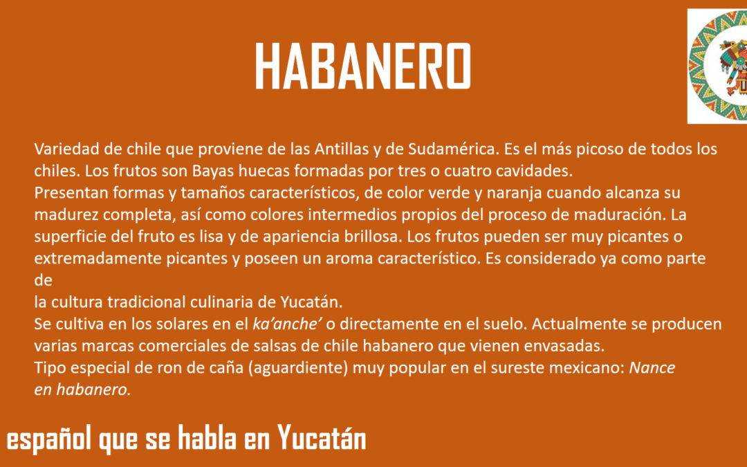 HABANERO: «ES EL MAS PICOSO DE TODOS LOS CHILES»