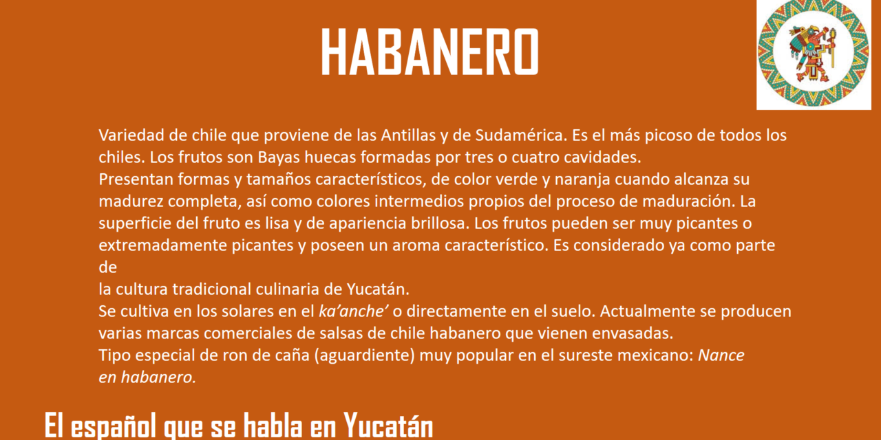 HABANERO: «ES EL MAS PICOSO DE TODOS LOS CHILES»