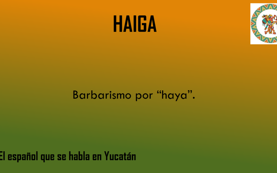 HAIGA: «BARBARISMO PARA HAYA»