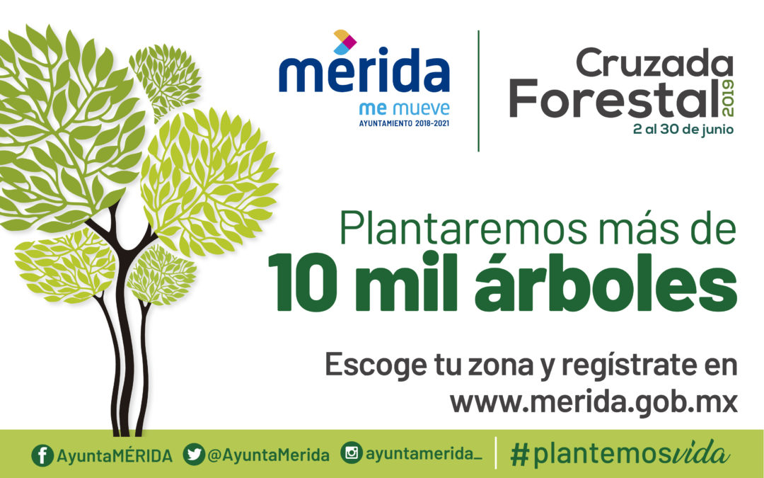 Cruzada Forestal 2019