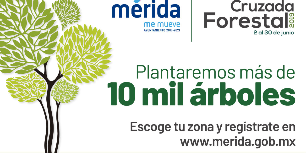Cruzada Forestal 2019