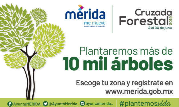 Cruzada Forestal 2019