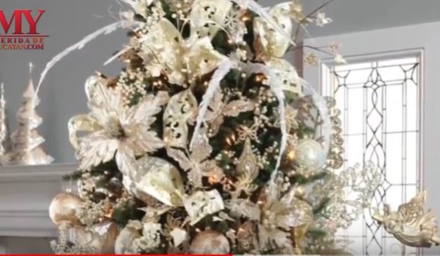 VIDEO:  EL ÁRBOL DE NAVIDAD