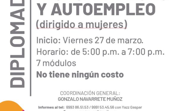 Diplomado: Microempresas y autoempleo