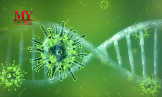 La fase 4 del Coronavirus