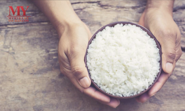 El origen del Arroz