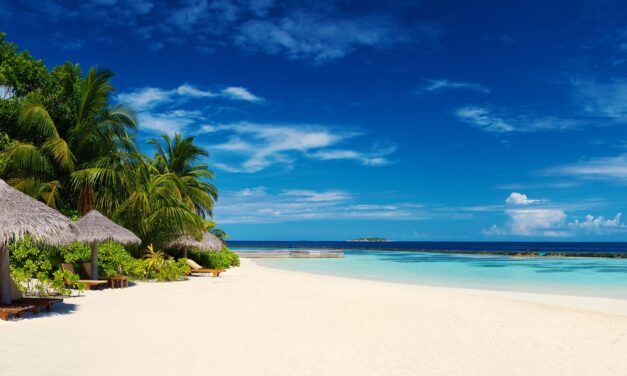 EL CARIBE UNIVERSAL