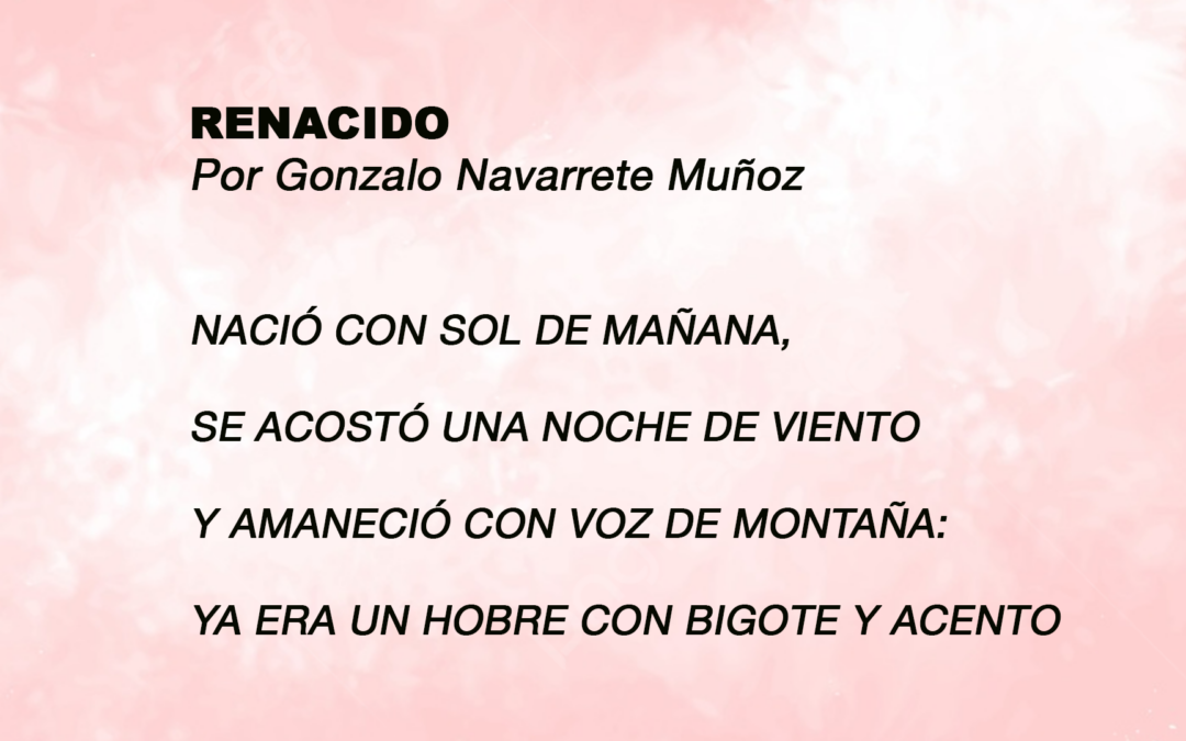 RENACIDO
