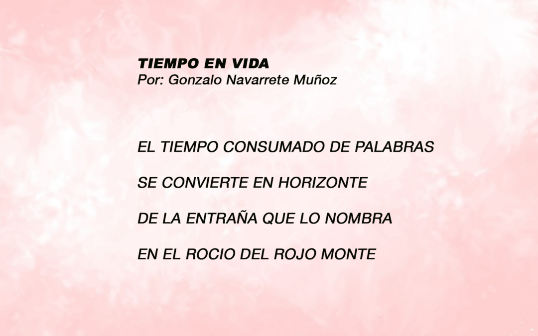 TIEMPO EN VIDA 