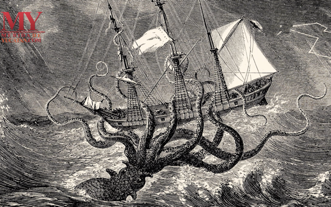 Pulpos y Calamares