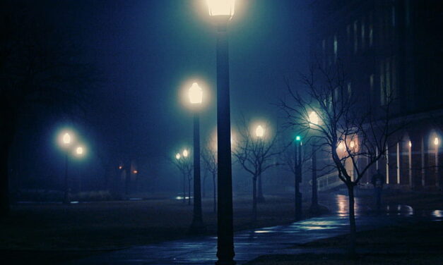 IMITACIONES Y PLAGIOS