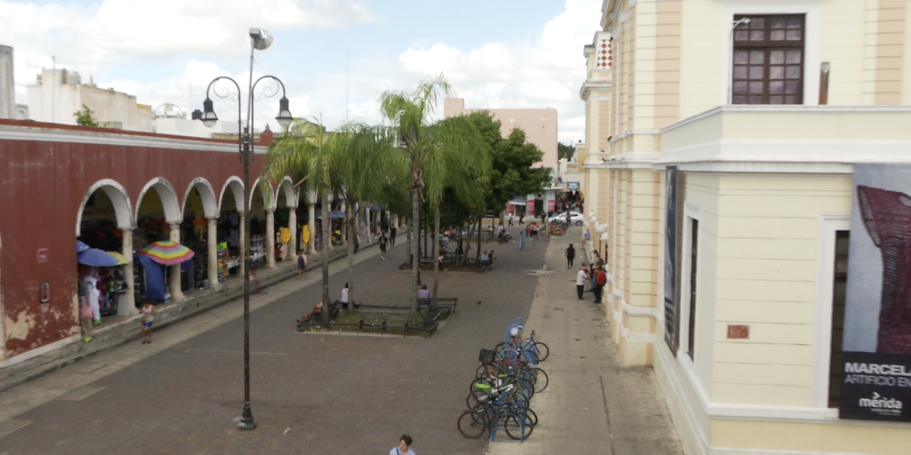 EL MUSEO DEL MERCADO