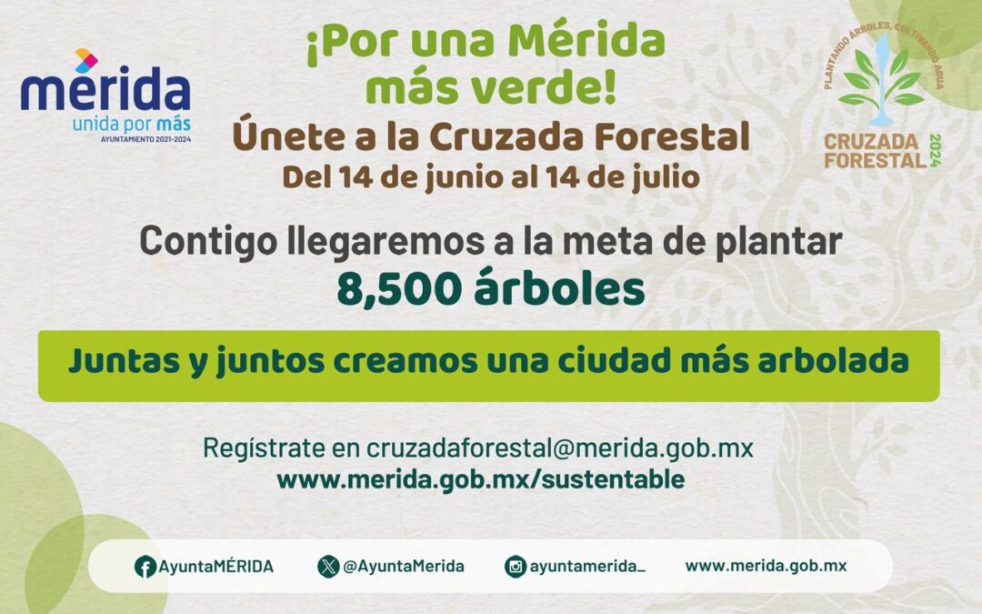 Ayuntamiento de Mérida Junio 2024